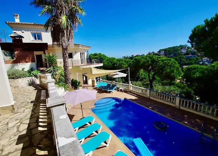 V&v Lloret - Mirasola *