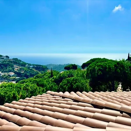 V&v Lloret - Mirasola