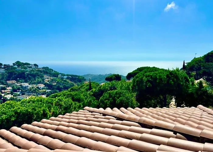 V&v Lloret - Mirasola